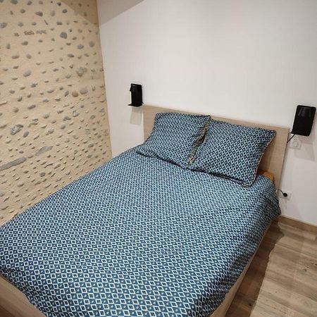 Apartament Studio De Charme En Pierres - Hyper Centre Pau Zewnętrze zdjęcie