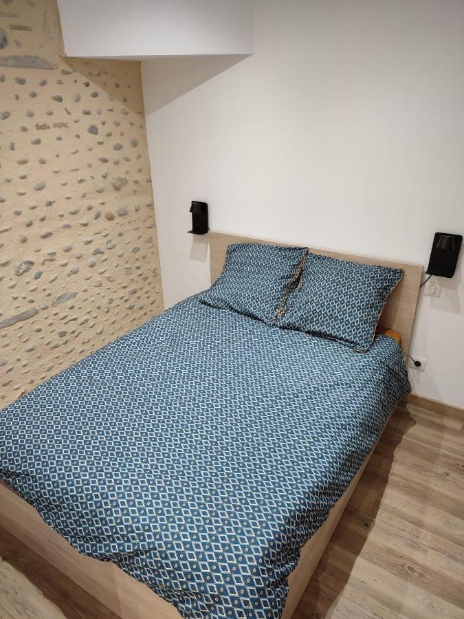 Apartament Studio De Charme En Pierres - Hyper Centre Pau Zewnętrze zdjęcie